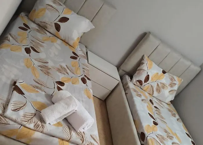 Daniel&roel تيرانا